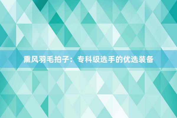 熏风羽毛拍子：专科级选手的优选装备